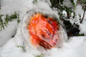 patera szklana leżąca w śniegu